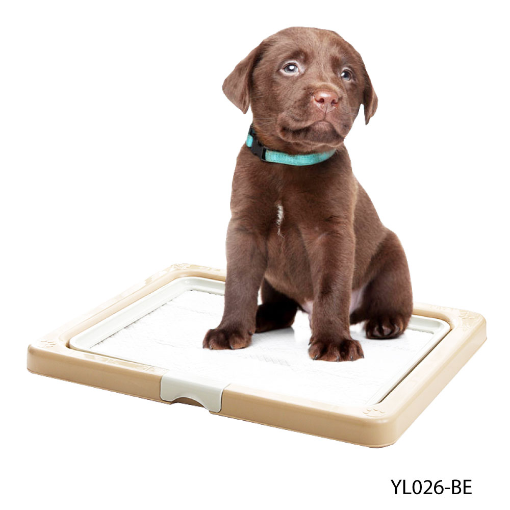 Kanimal Dog Toilet ถาดฝึกฉี่สุนัข ถาดรองซับ ห้องน้ำสุนัข รุ่น Classic สำหรับสุนัขพันธุ์เล็ก Size M ขนาด 55x45x3.7 ซม. (สีีเบจ/ขาว)