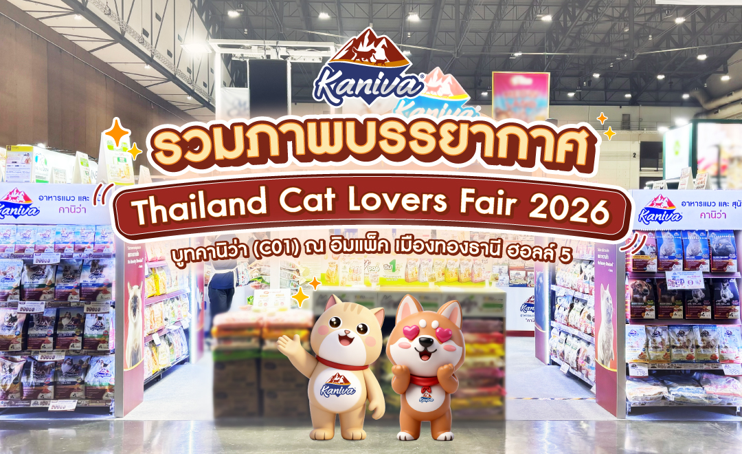 Thailand Cat Lovers Fair 2026